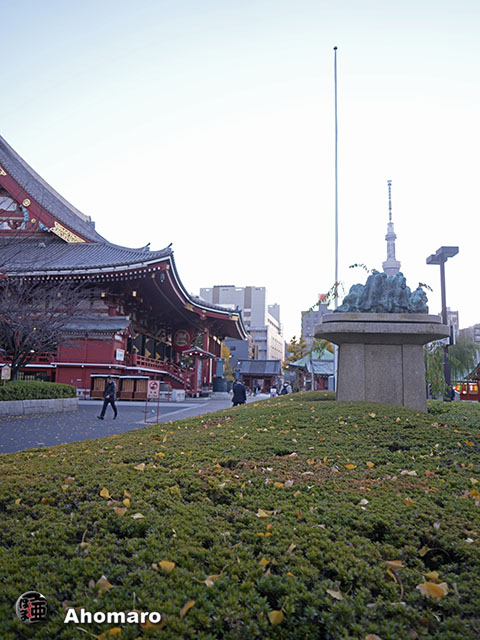 写真00
