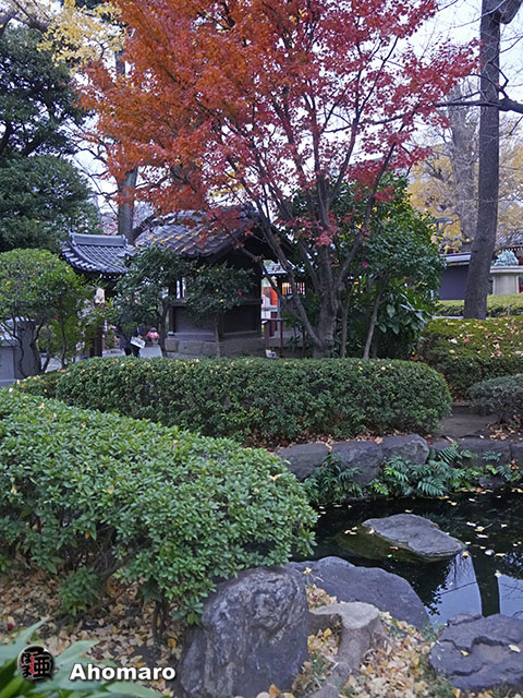 写真00