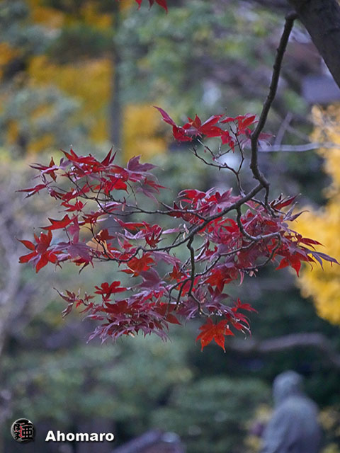 写真00
