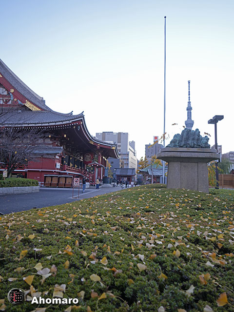 写真00