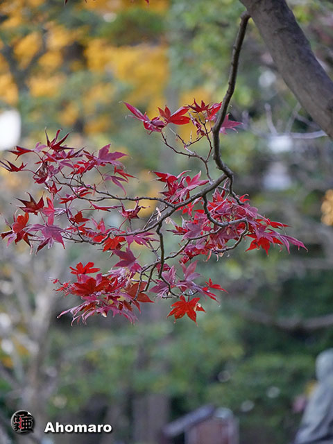 写真00