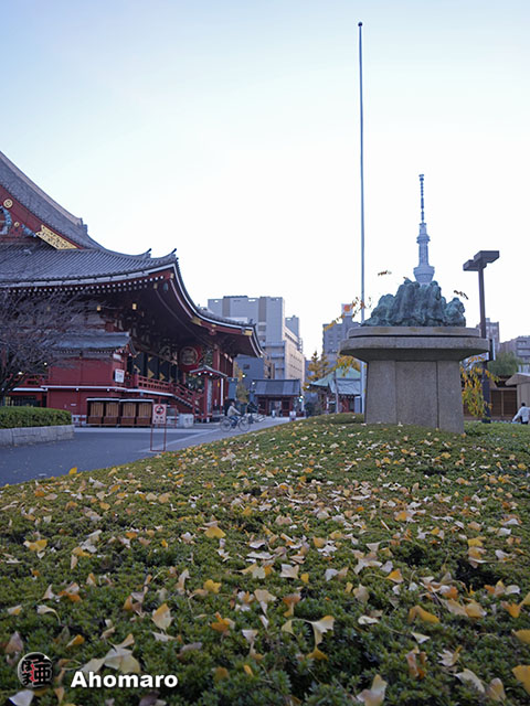 写真00