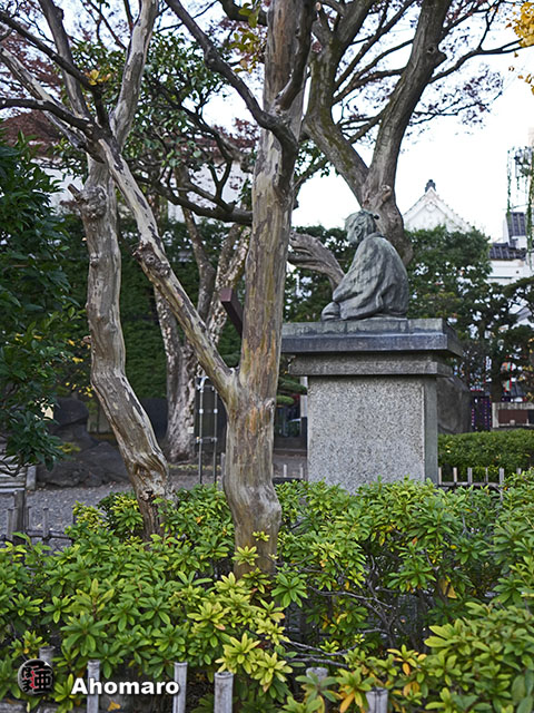 写真00
