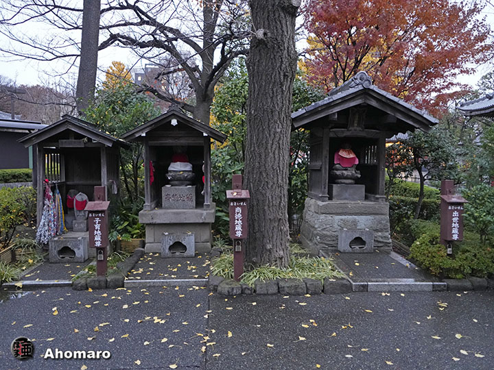 写真00