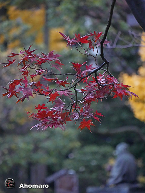 写真00