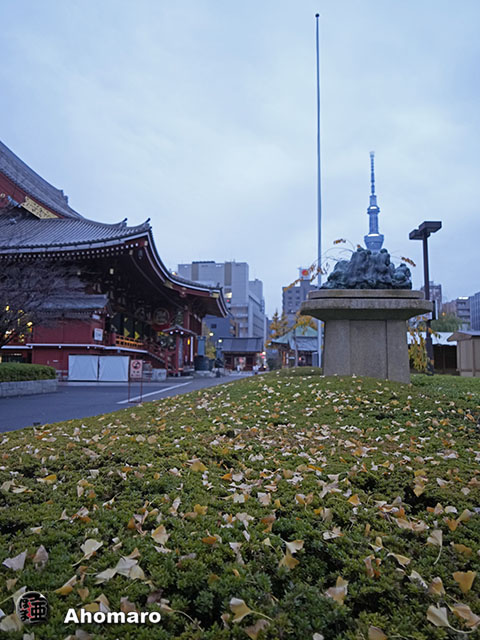 写真00