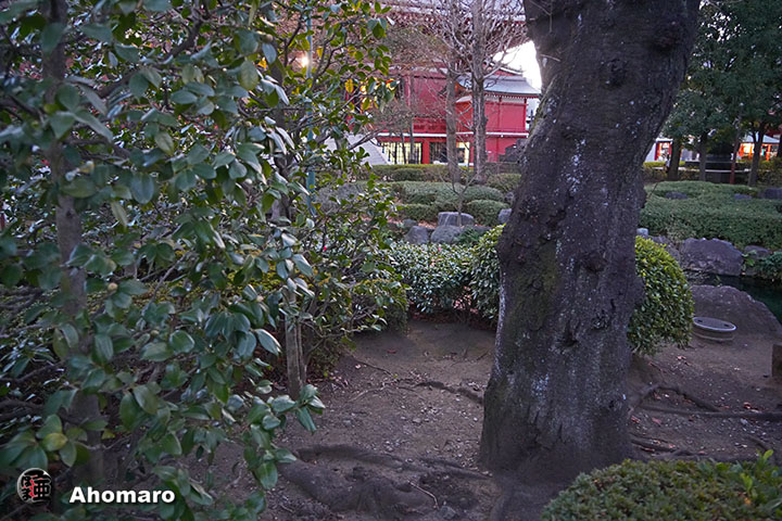 写真00