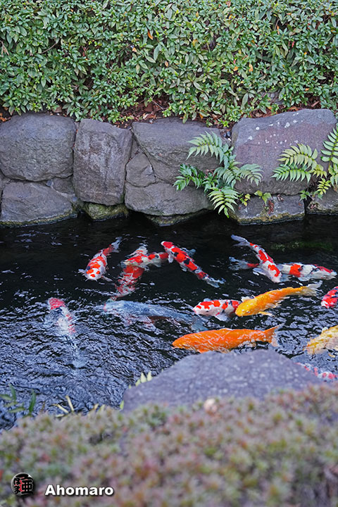 写真00
