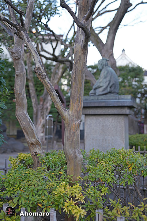 写真00