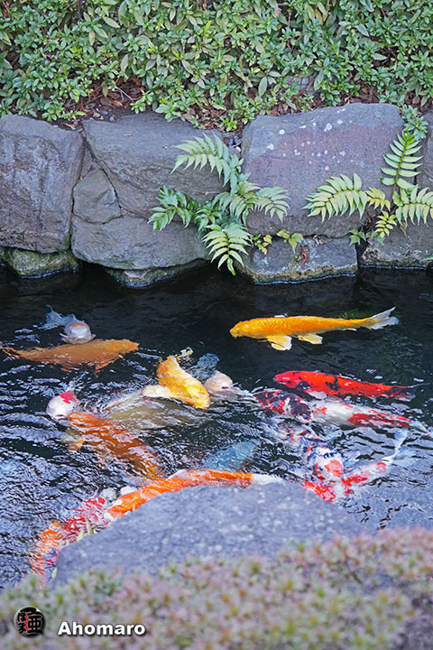 写真00