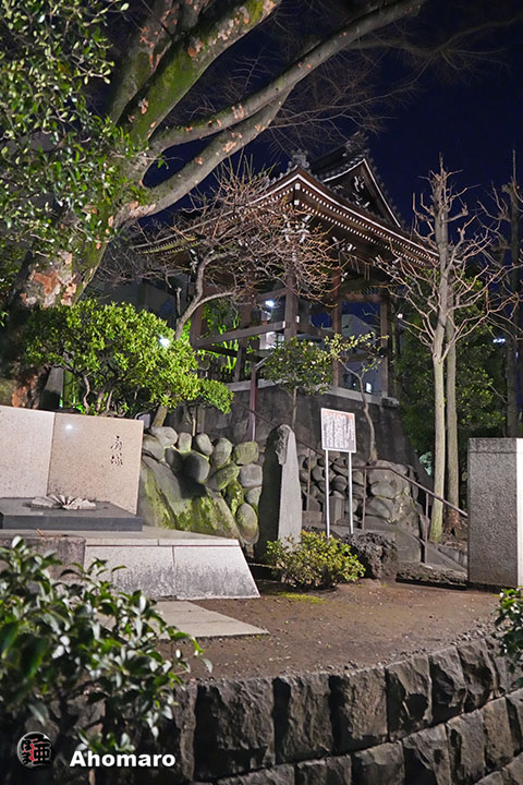 写真00