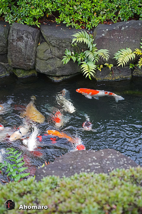 写真00