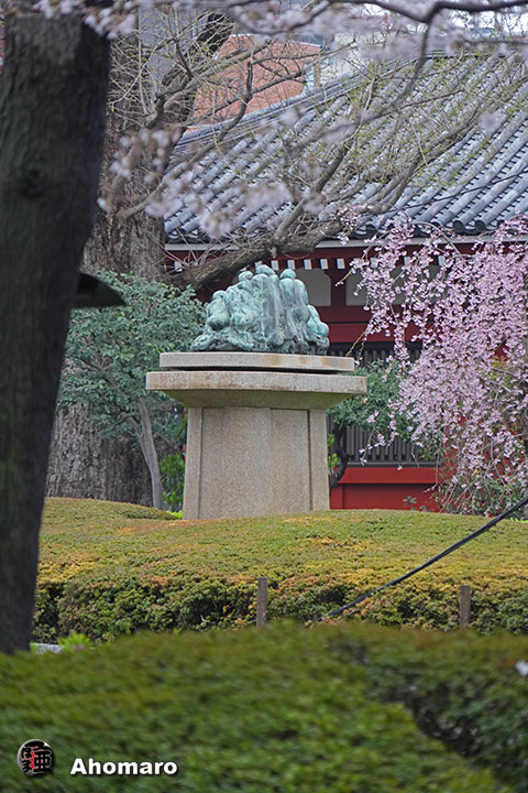写真00