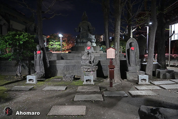 写真00