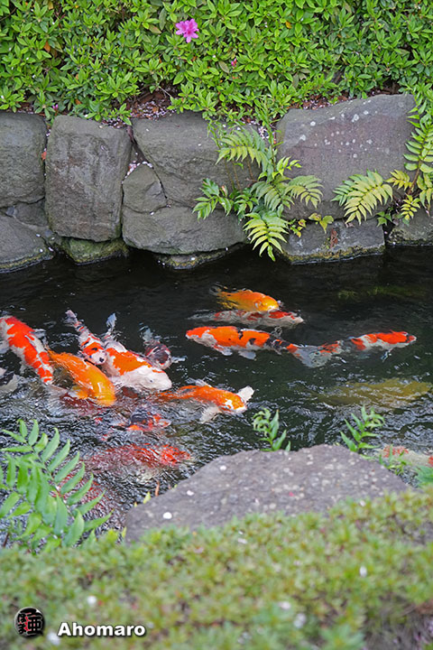 写真00