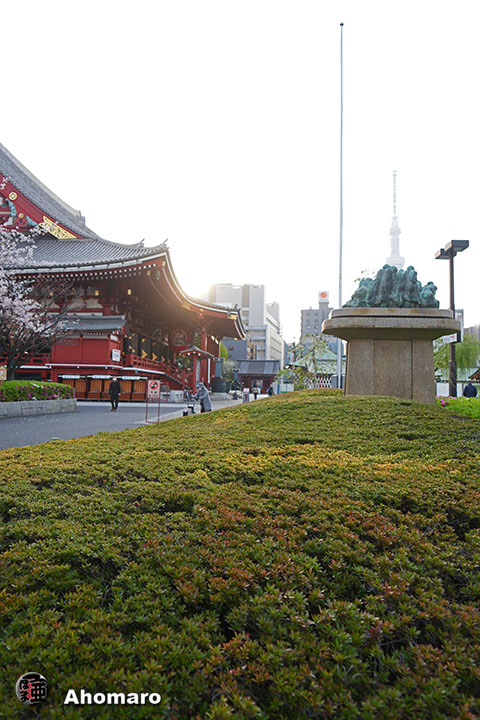 写真00