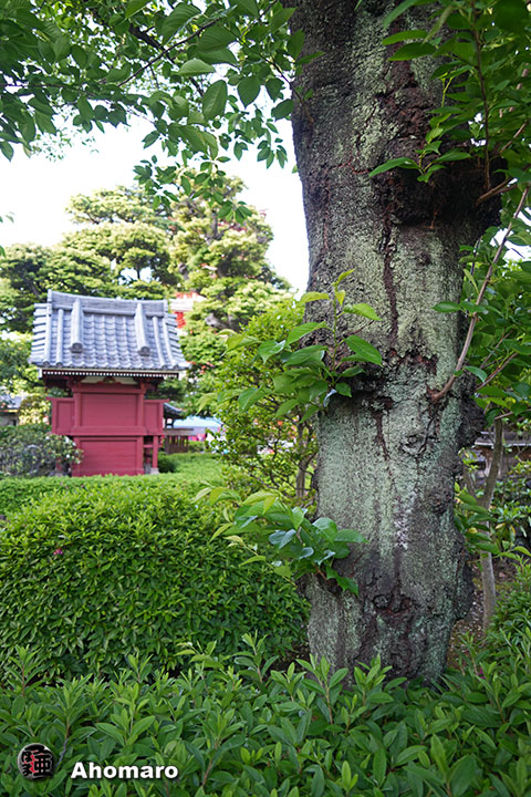 写真00