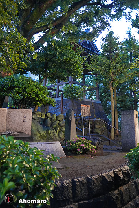 写真00
