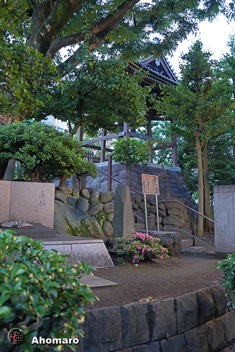 写真00