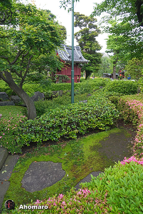 写真00