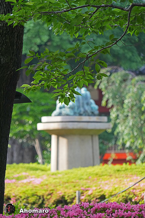 写真00