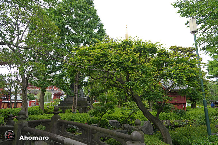 写真00