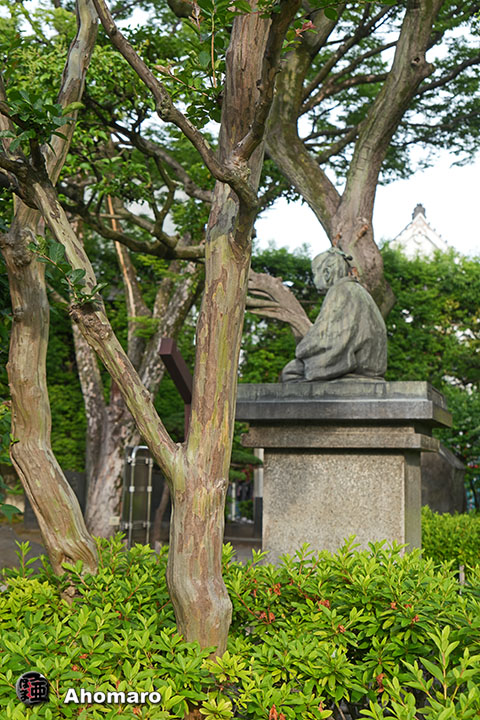 写真00