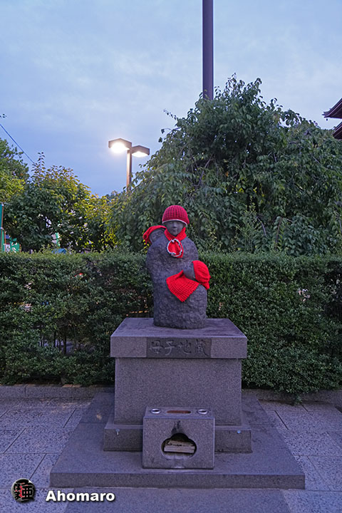 写真00