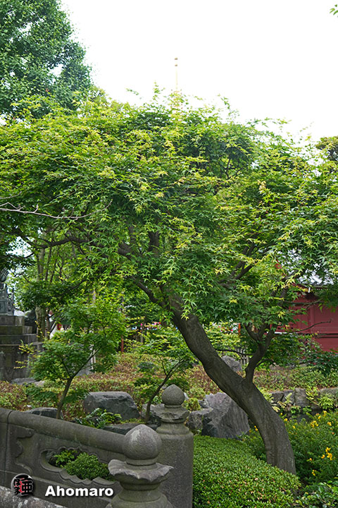 写真00