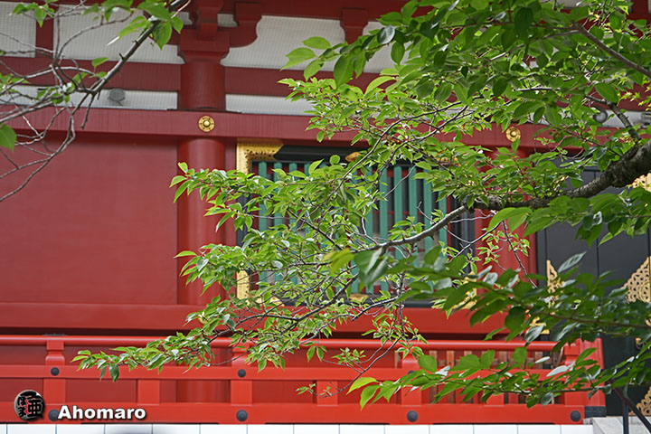 写真00