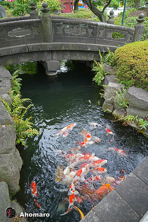 写真00