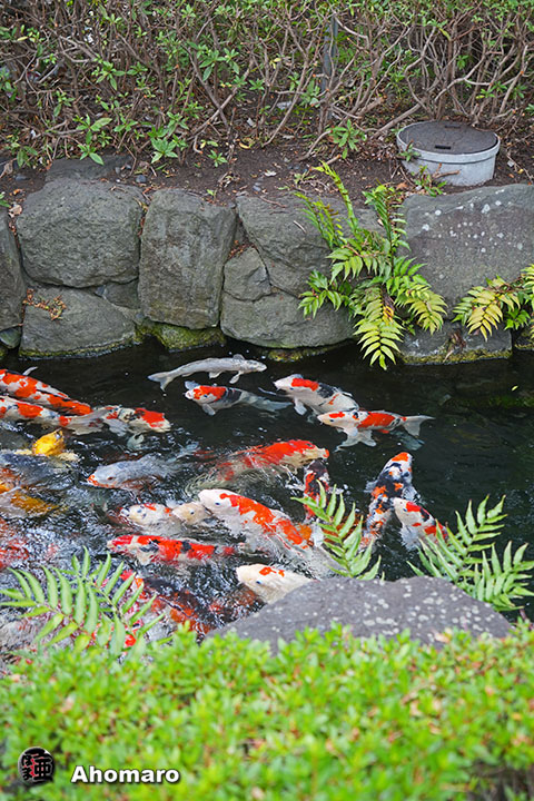 写真00
