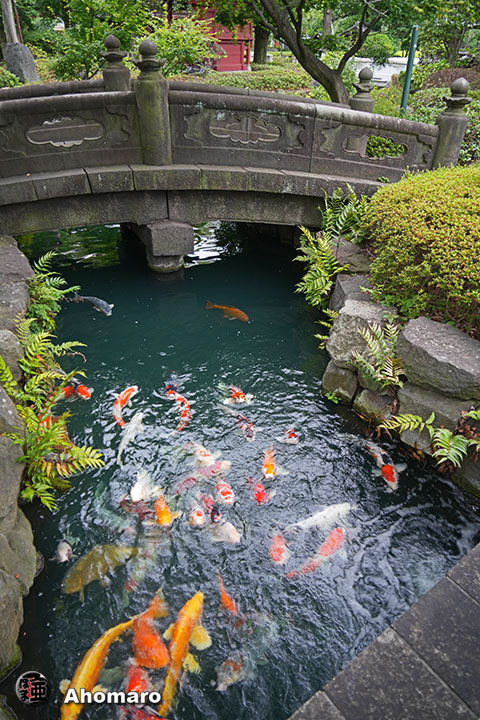 写真00