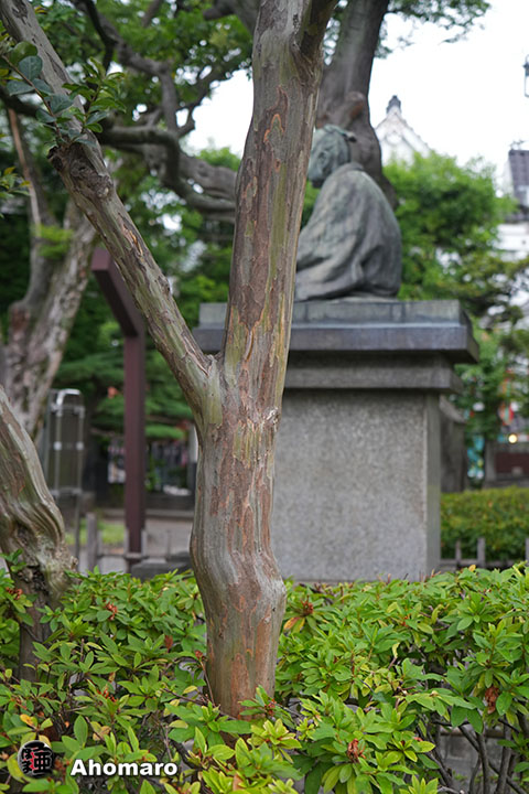 写真00