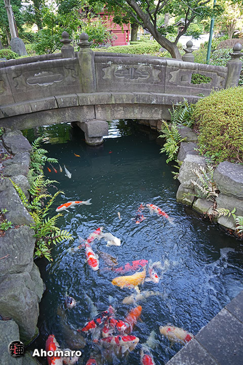 写真00