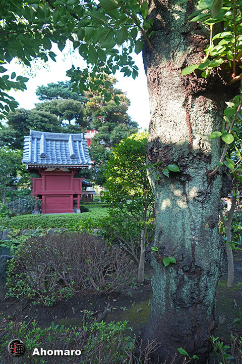 写真00