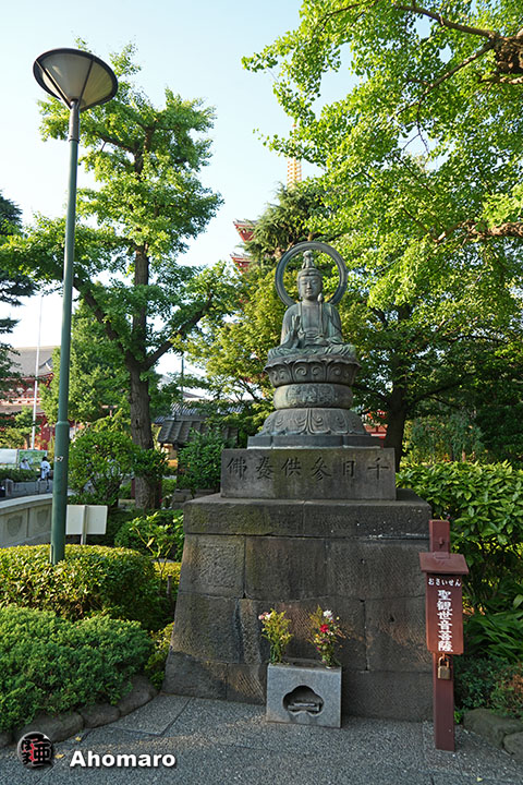 写真00