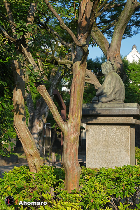 写真00