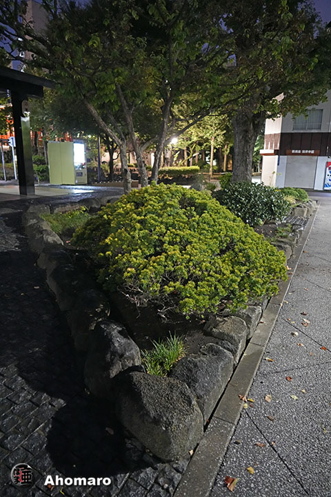 写真00