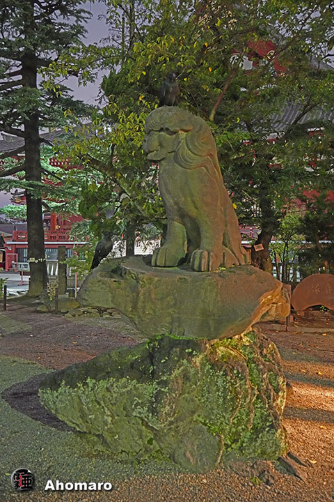 写真00