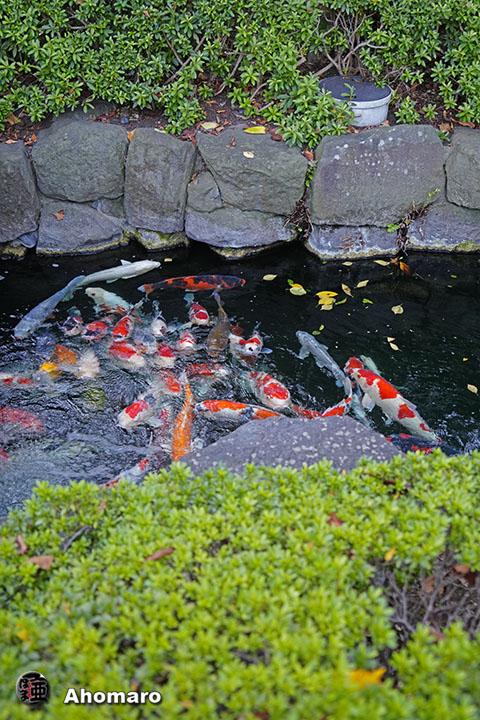 写真00