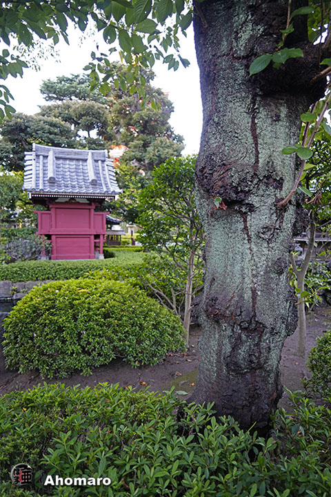 写真00