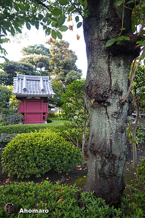 写真00