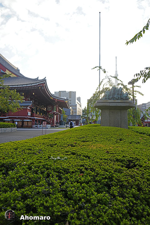 写真00