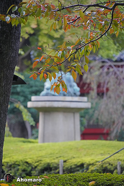 写真00