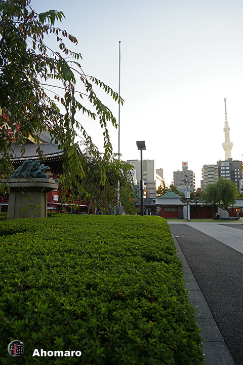 写真00