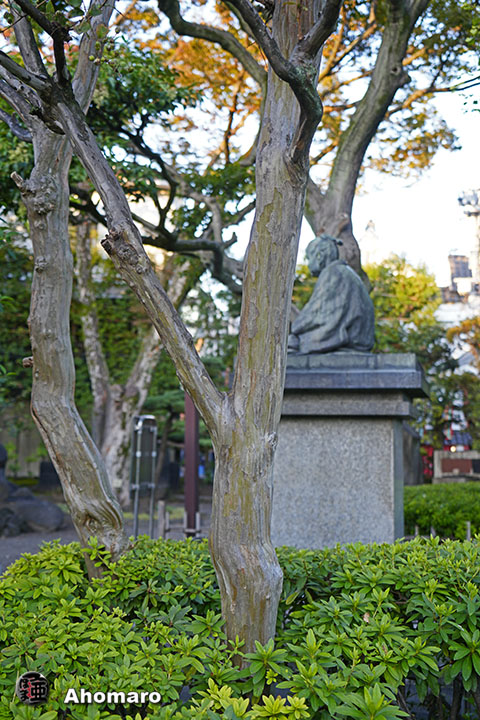 写真00