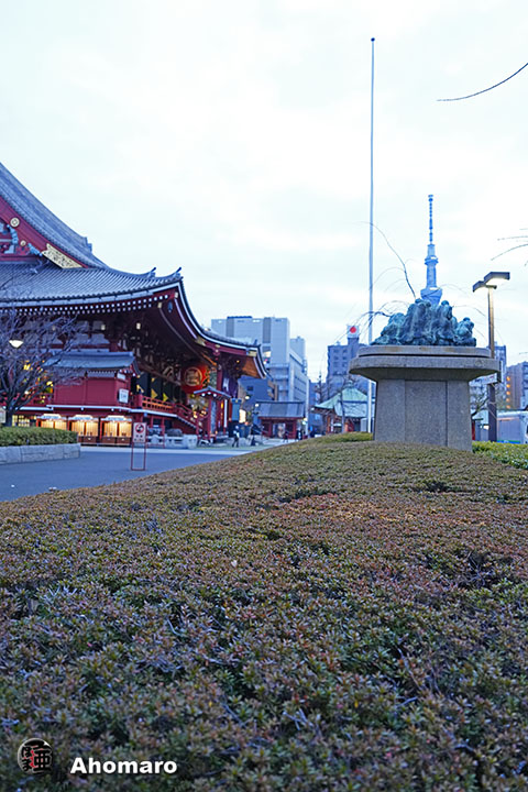 写真00