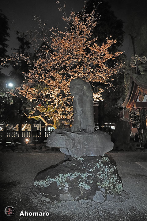 写真00