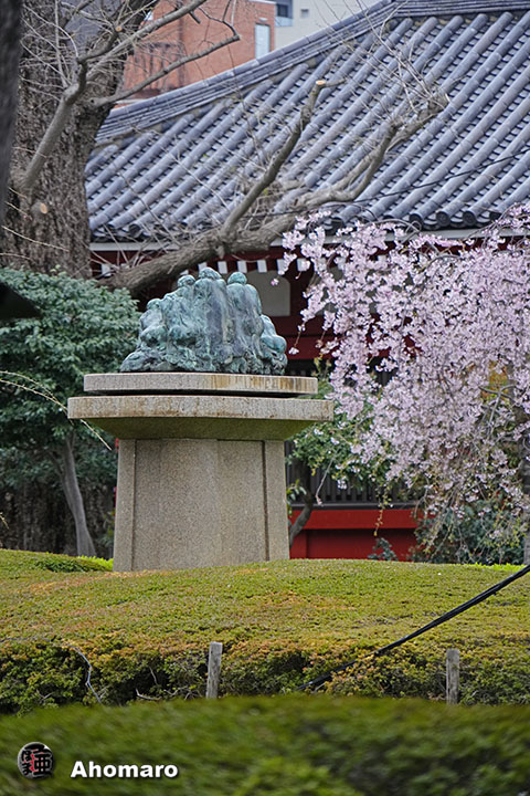 写真00